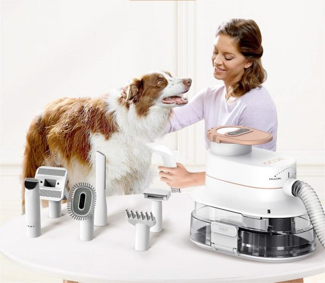 Make Pet Grooming a Breeze with JIGOO P300